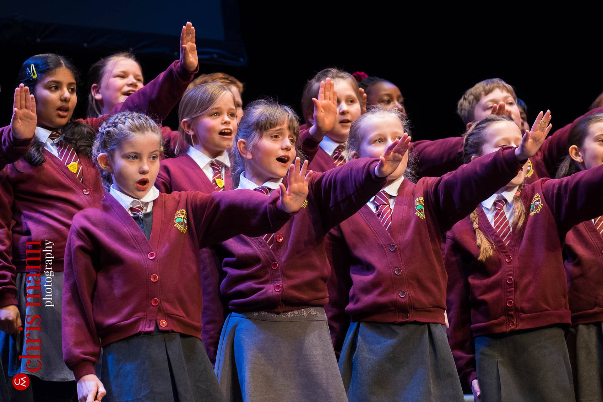 Choiroke-2016-concert-Dorking-Halls-019