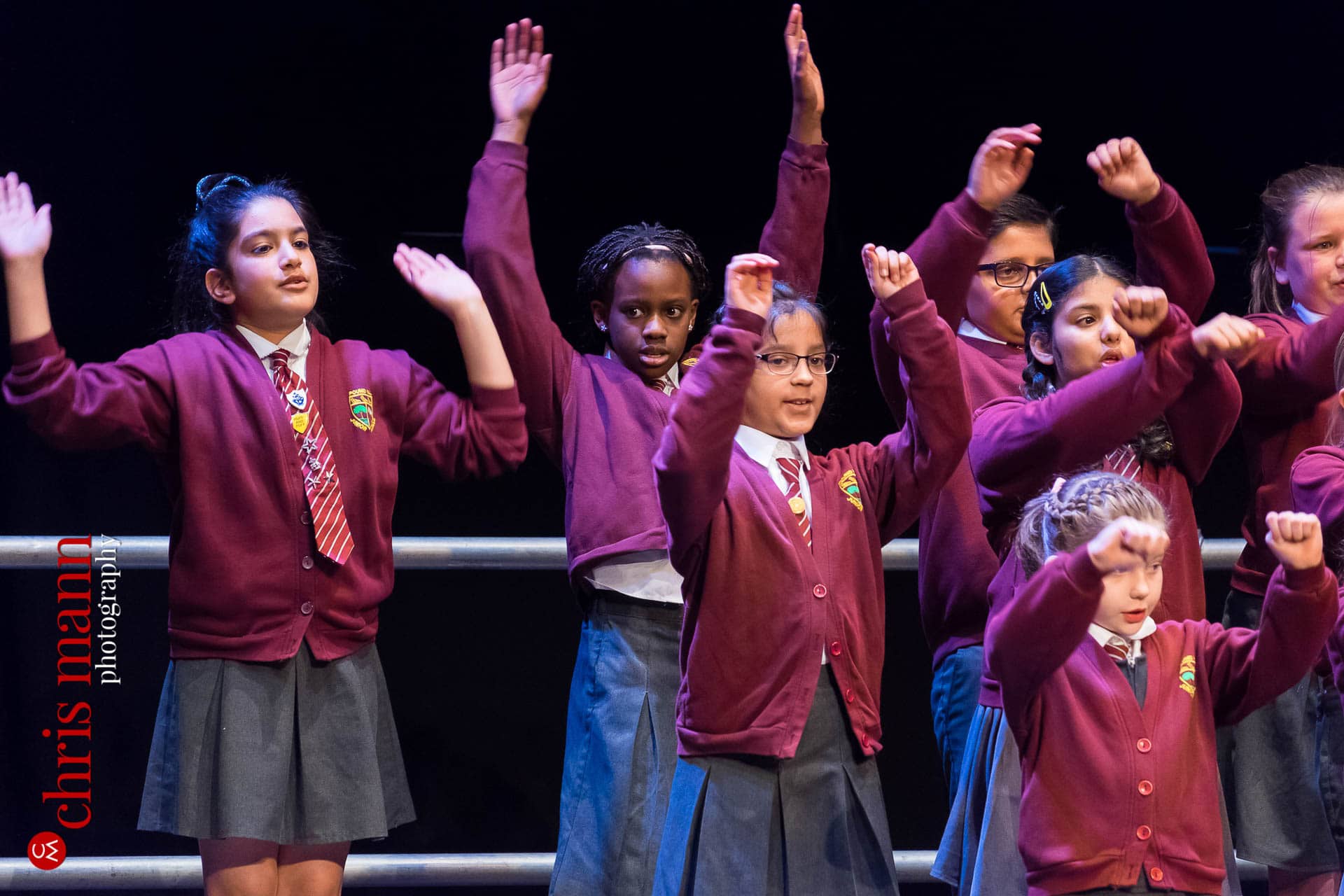 Choiroke-2016-concert-Dorking-Halls-020