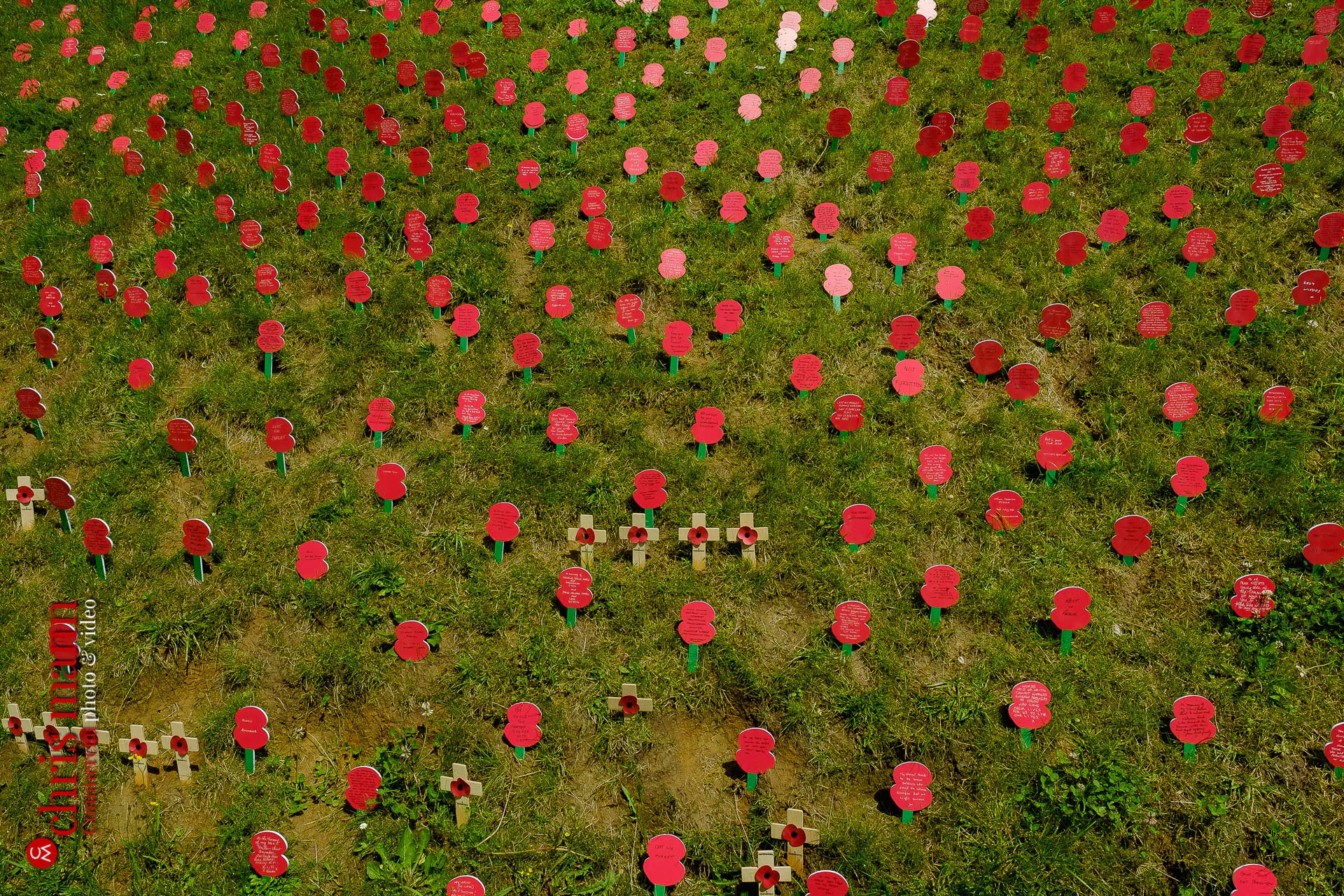 remembrance poppies at Thiepval Battle of the Somme 100th Anniversary