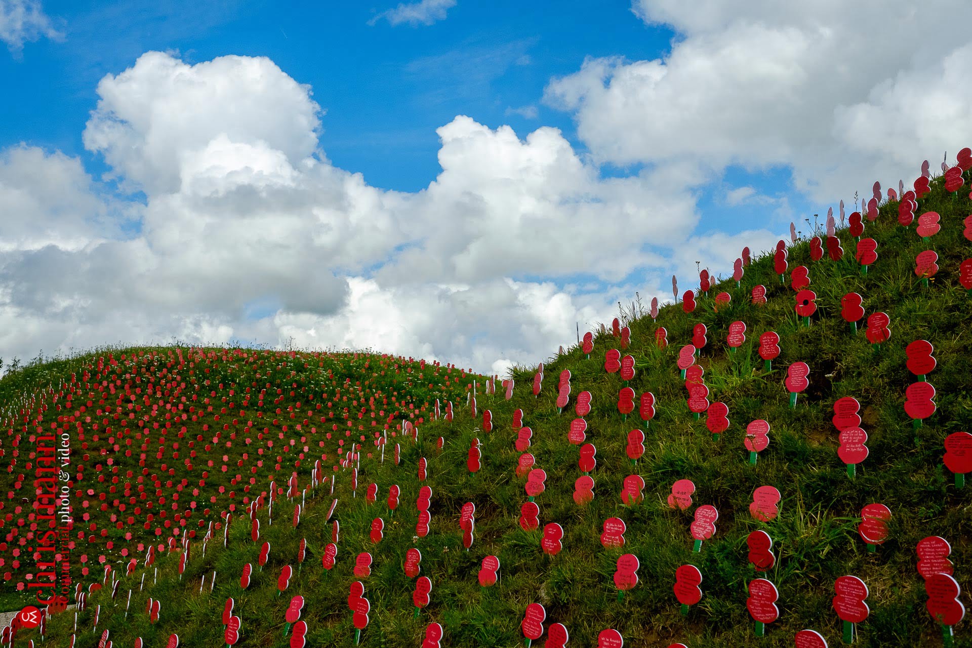 afield of remembrance poppies at Thiepval Battle of the Somme 100th Anniversary