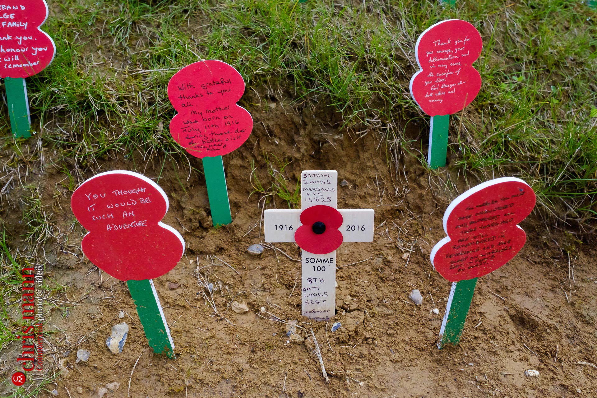remembrance poppies at Thiepval Battle of the Somme 100th Anniversary