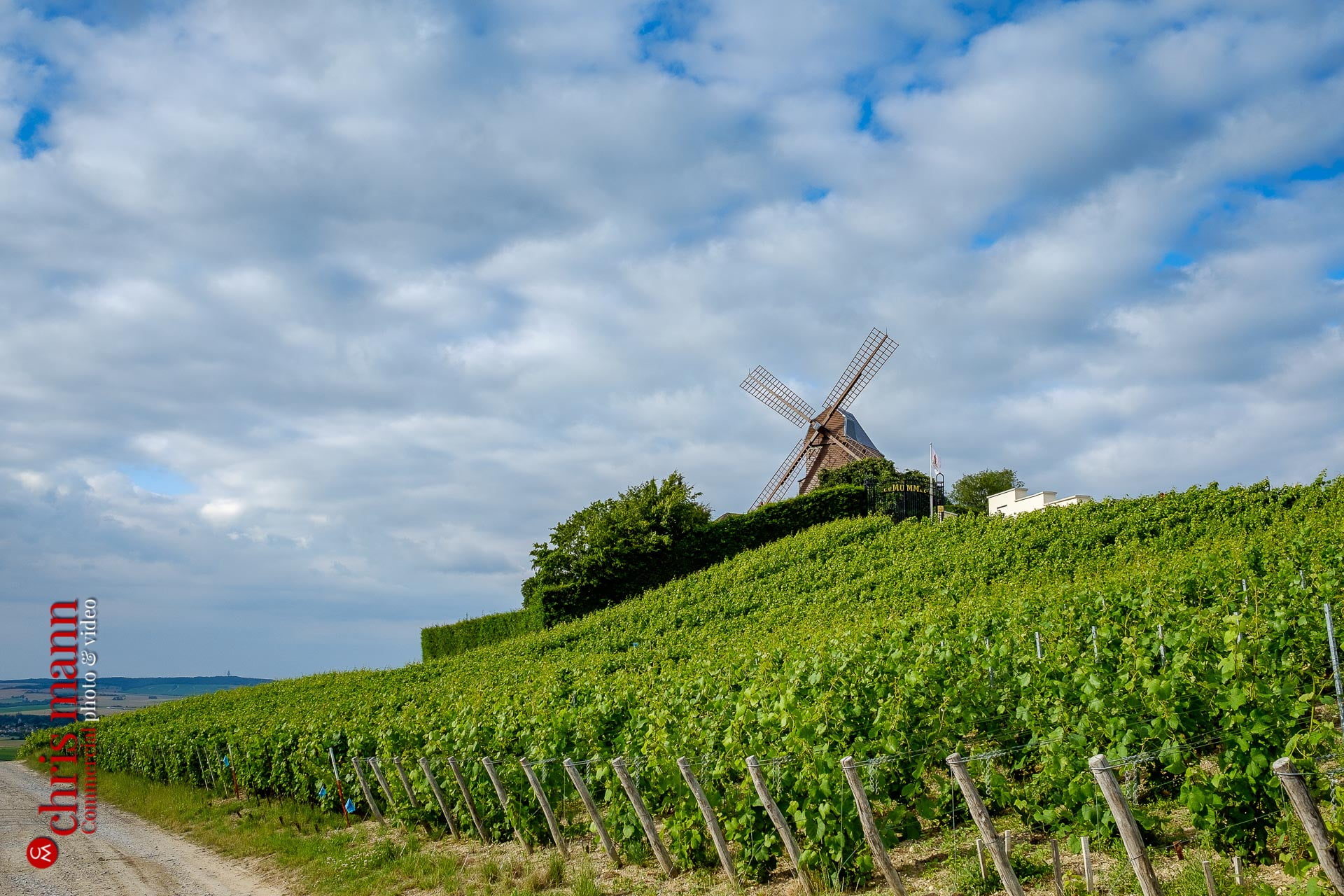 G H Mumm windmill in Champagne vineyards near Reims Picardy France