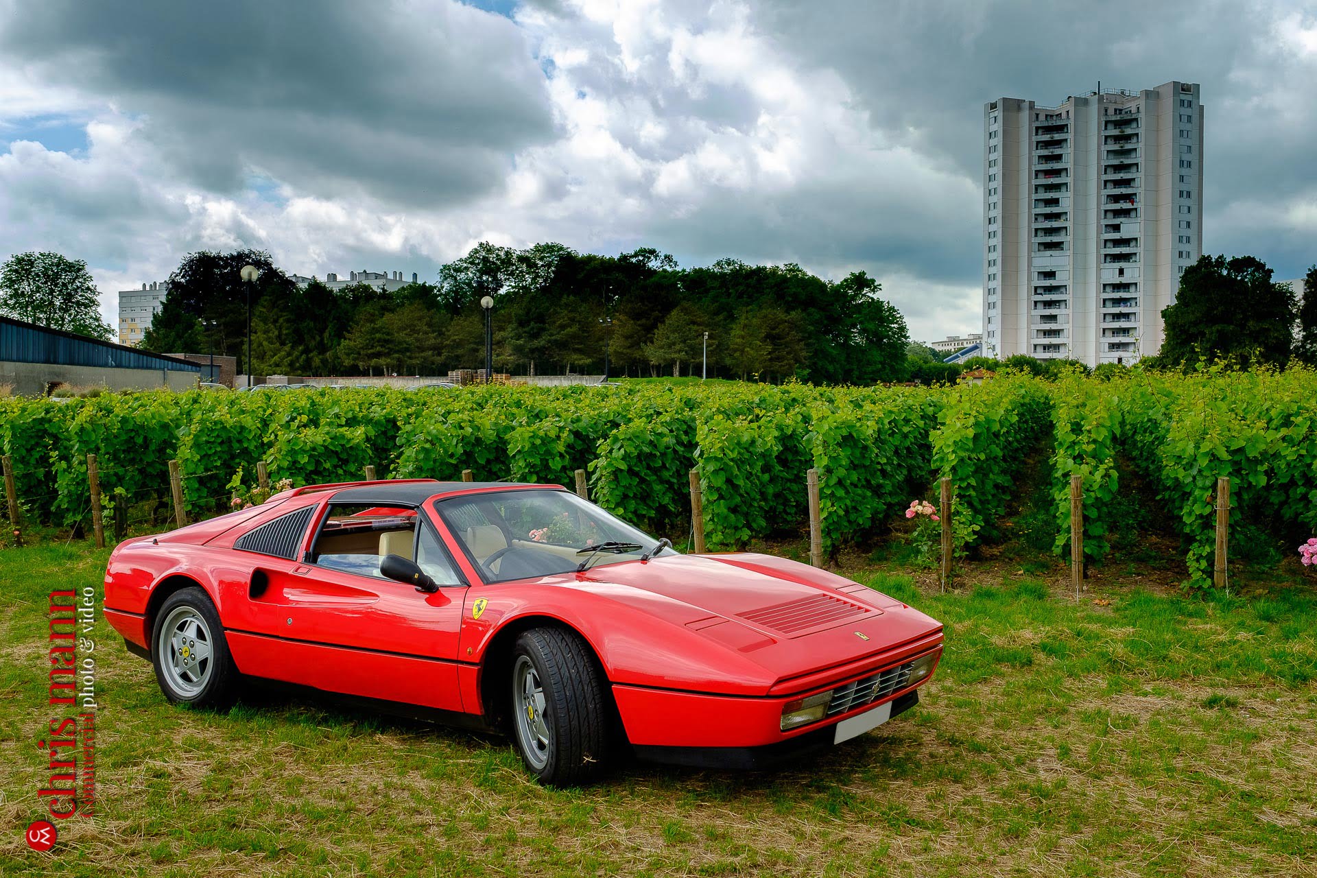 Lanson champagne city centre vineyard