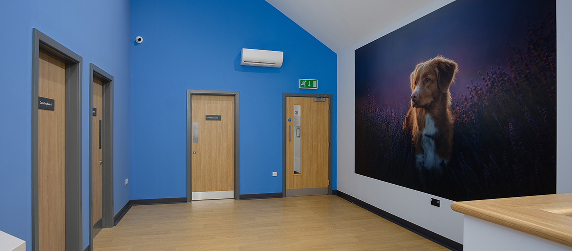 interior photography vets practice Normandy Surrey UK