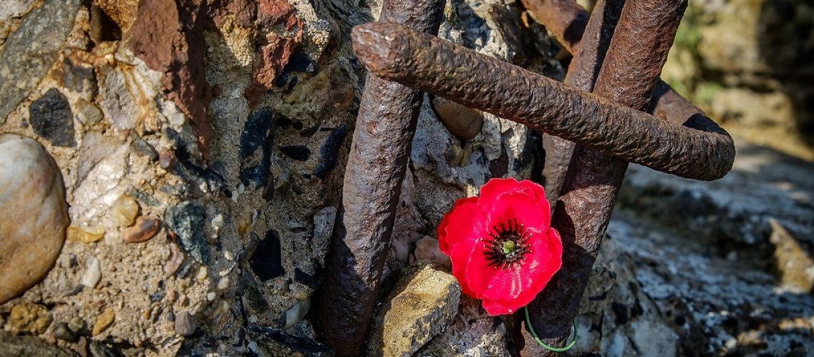 A poppy tied to metal reinforcing bars on the ruins of the German concrete blockhouse at Fromelles, Nord, France